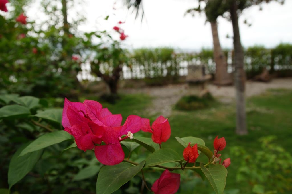 Вилла Santander Beach House - Cebu Экстерьер фото